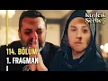 Kızılcık Şerbeti 114. Bölüm 1. Fragman | \