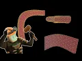 Source Engine Hammer Tutorial Displacement Tricks