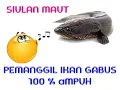 Download Lagu Siulan pemanggil ikan gabus