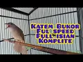 Download Lagu kapas tembak buka ekor. full isian materi muntah. full speed