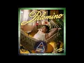Lunay – Palomino