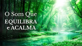 Música Verde: O Som do Equilíbrio e da Cura Profunda