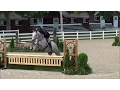 Cristal PreGreens at BVSS 2015