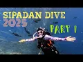 SIPADAN DIVE 2025