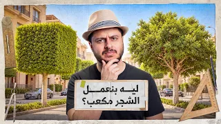 بطلوا تقطعوا الشجر بالشكل ده - احنا كده بنرفع درجة الحرارة من غير مانحس