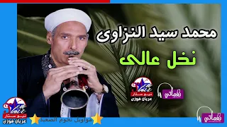محمد سيد النزاوى   نخل عالى دندنها