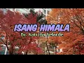 Isang Himala (LYRICS) BY: KATRINA V.