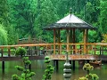 Zen Garden