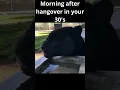 Morning after hangover in your 30 s