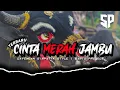 Download Lagu DJ BNTENGAN GAYENG CINTA MERAH JAMBU STYLE SIMPATIK SAMID PROJECT