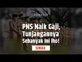 Download Lagu Tahun 2024 PNS Naik Gaji, Ternyata Tunjangannya Segini | SINAU