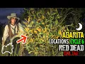 RED DEAD ONLINE AGARITA Cycle 6 Locations Collector Guide Wild Flowers Collection RDO
