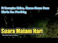 Download Lagu Suara Malam Hari Seperti di Hutan // Suara Hewan Malam Di Gelapnya Pedesaan  #relaxingsounds
