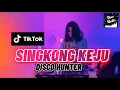 Download Lagu DISCO HUNTER - Singkong Dan Keju