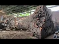 Download Lagu Extreme Danger ‼ Massive Trembesi Log With Stone Texture Crushed at the Sawmill