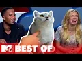 Ridiculousnessly Popular Animal s