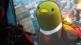 duck.