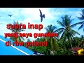 suara inap dan respon burung walet luar biasa
