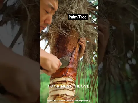Purane Zamane Ka Desi Raincoat! π±π§οΈ