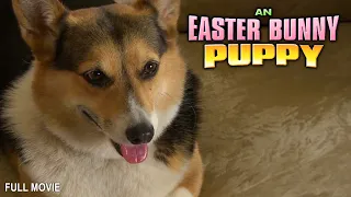 An Easter Bunny Puppy Full Family Movie