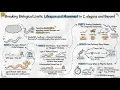 Breaking Biological Limits Lifespan and Movement in C elegans and Beyond