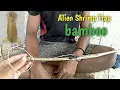 Download Lagu Make Trap the mantis shrimp from bamboo