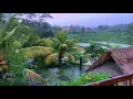 Lagu Tropische regengeluiden en onweer op Bali | Onweer | Ontspan, slaap, slapeloosheid