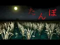 Download Lagu AKU BERJALAN MENYUSURI SAWAH DI MALAM HARI BERSAMA ANJINGKU TAPI ADA YANG ANEH.... たんぼ