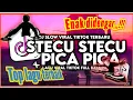 Download Lagu DJ STECU STECU X PICA PICA SLOW VIRAL TIKTOK FULL SONG MAMAN FUNDY 2025