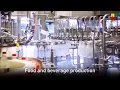 Matrox Design Assistant Overview