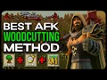 The BEST AFK Woodcutting Method in OSRS 80K 300K
