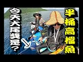 Download Lagu 說好來朗軟絲，大軟絲有了，竟然高價魚也爆筒了..... #釣魚#夫妻釣魚#sup釣魚 #couplefishing#釣り#二人以下動力浮具登錄編號申請