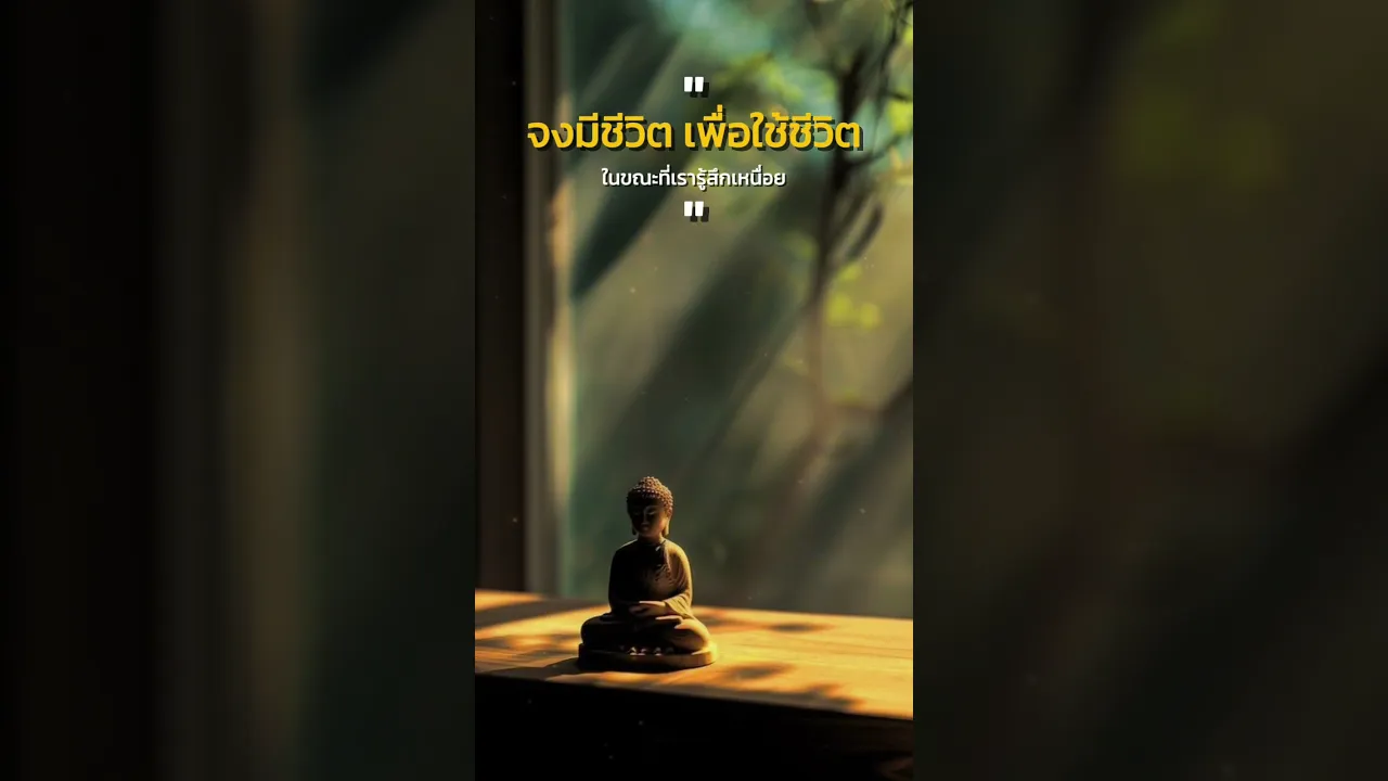 จงมีชีวิต เพื่อใช้ชีวิต