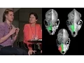 Seeing Inside Bats - AMNH SciCafe