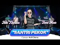 Download Lagu Nella Kharisma - Santri Pekok (Official Music Video)