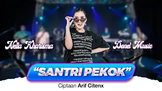 Download Nella Kharisma - Santri Pekok (Official Music Video) MP3