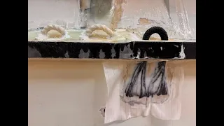 Done, lifting padeyes.