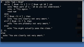Shell scripting case statement