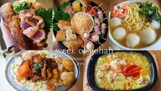 A week meals/ Fresh wasabi & rare tuna cutlets, Marble soda Ramune, Asian grocery shopping