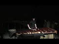 Traces IV (2006) by Martin Matalon for marimba and electronics