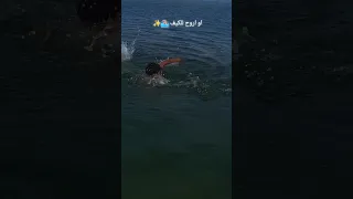 ترند جديد لما انا بحتاج اتكلم بروح لمرايتي وابوص او اروح للكيف اكسبلور Foryou ترند Fyp 