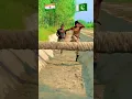Download Lagu India Army🇮🇳 vs Pakistan Army🇵🇰 Challenge #short #youtube #indianarmy #pakistanarmy #shahzad786