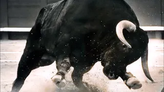 mjikijelwa lalilihle