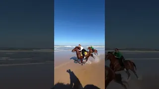 متعة ركوب الخيل في البحر    حصان يركض في البحر دندنها