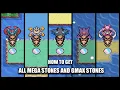 Pokemon Radical Red 4 1 - All Mega Stone Locations Mode