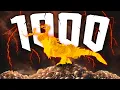 How I Got 1000 Kills in 24 Hours Creatures of Sonaria
