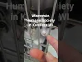 Just a few of the cats available at the Wisconsin Humane Society Kenosha Campus 26