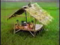 Download Lagu Station ID RCTI - Sawah (1994)