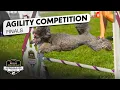 Incredible Dog Challenge Agility National Championship NBC Sports