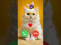Download Lagu Cute Baby Cat Ringtone notification  🎶💔 Calling Effect #shorts #shortfeed #ringtone